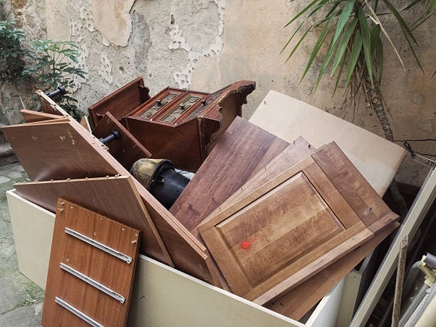 Best Household Junk Removal  in Wren, AR